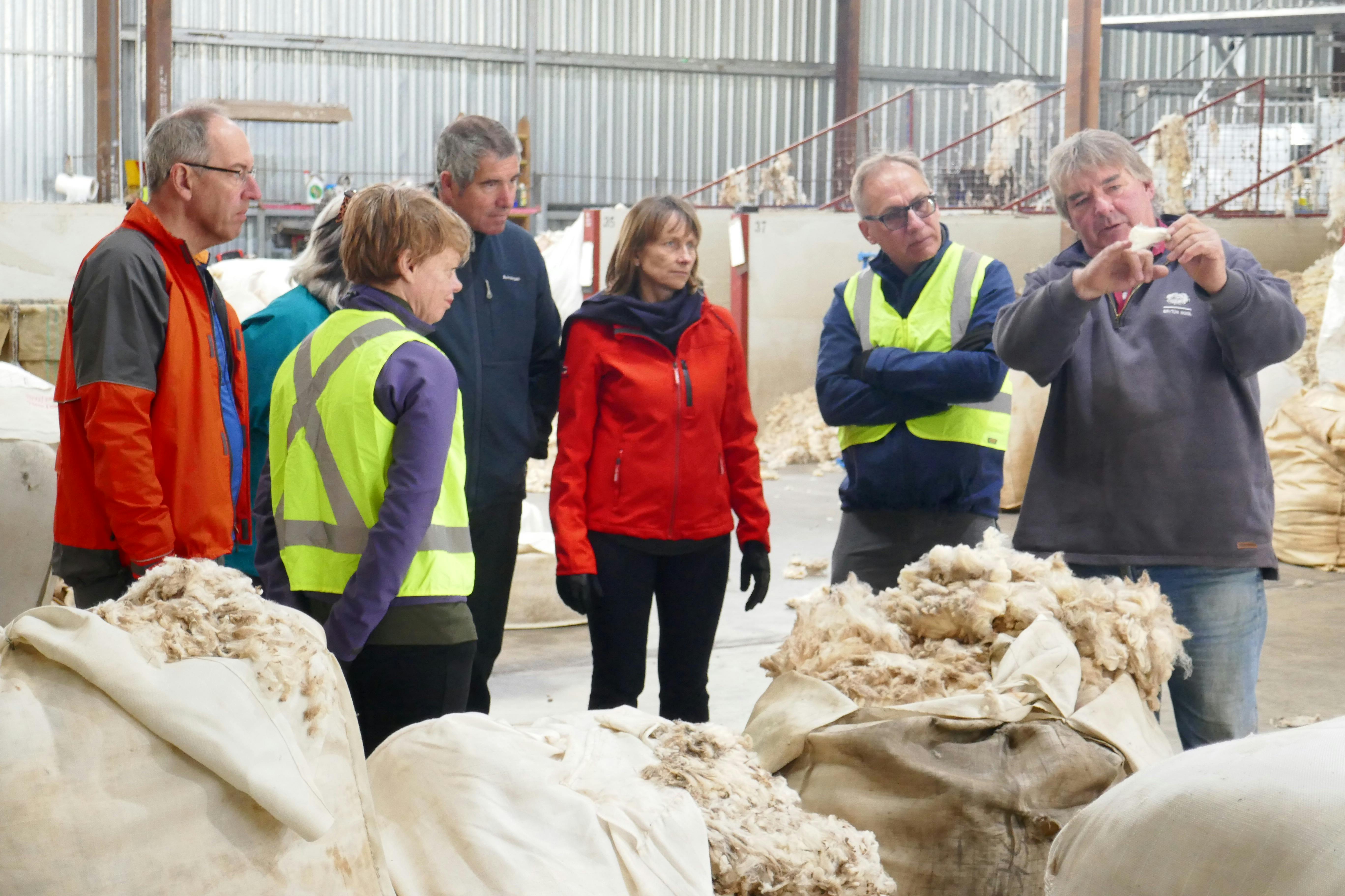 Learning about the wool industry