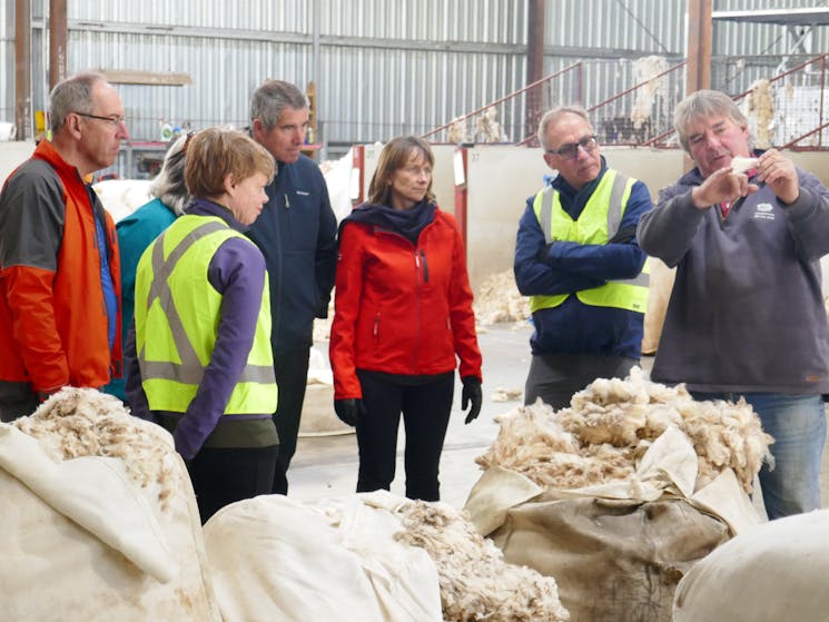 Learning about the wool industry