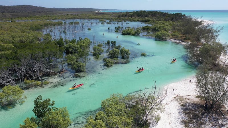 Remote Fraser Island and Whale Experience – Tasman Venture