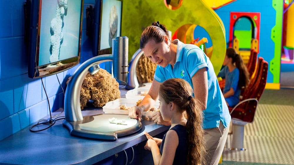 Reef HQ Aquarium