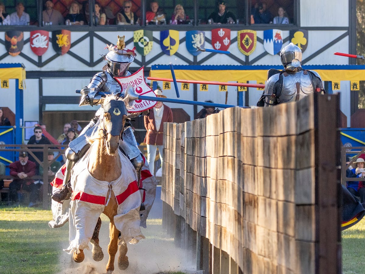 Two jousters are in full armour riding horses down a list. The lances have shattered.