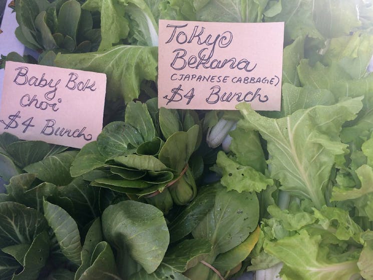 Captains Flat Market