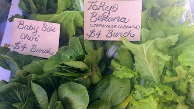 Captains Flat Market