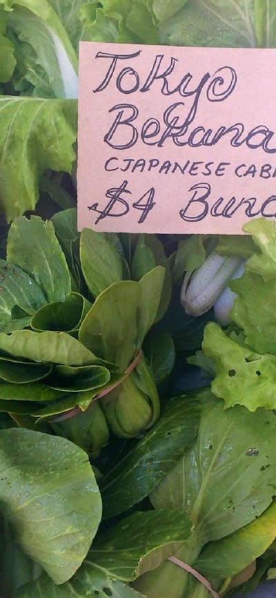 Captains Flat Market