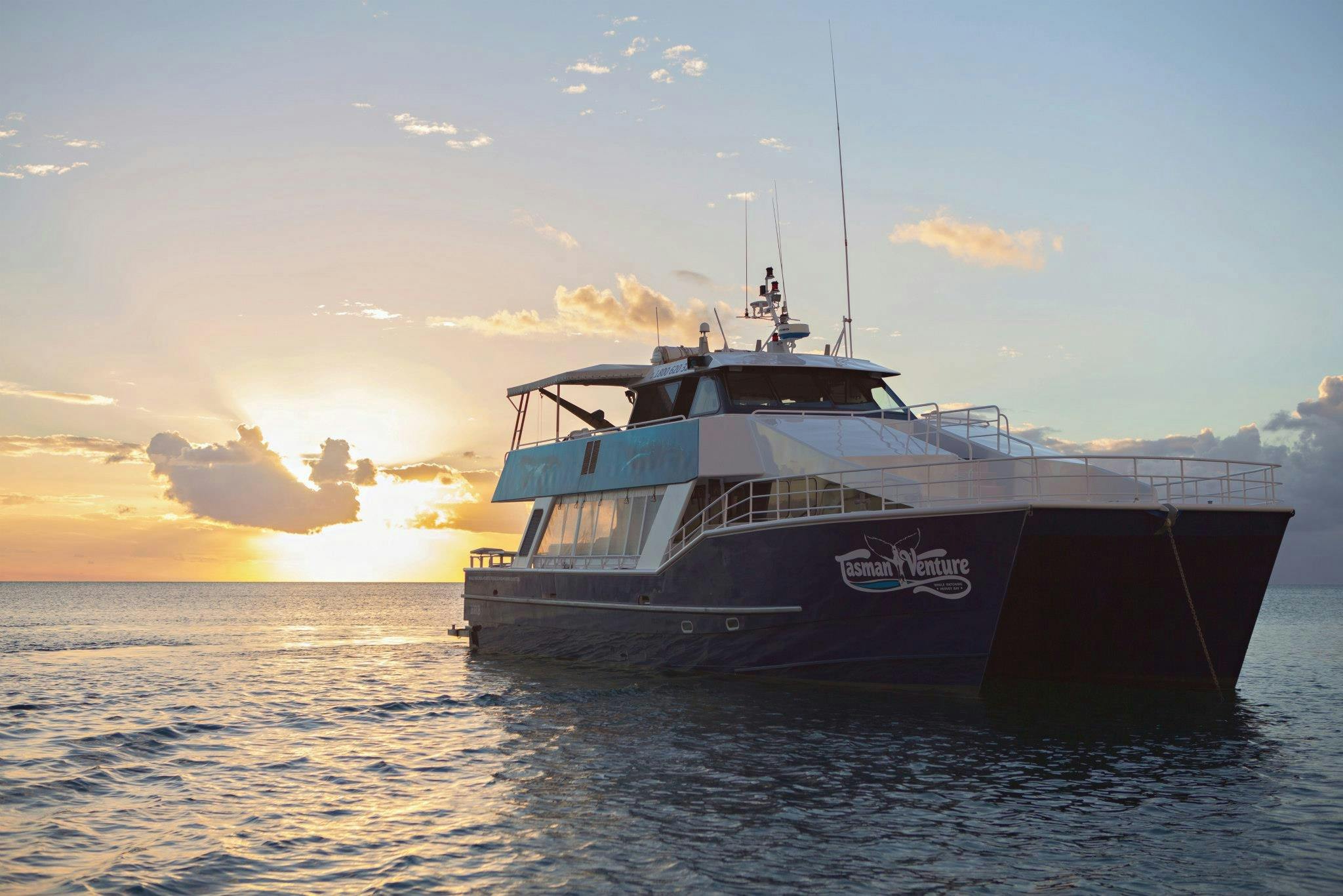 Tasman Venture