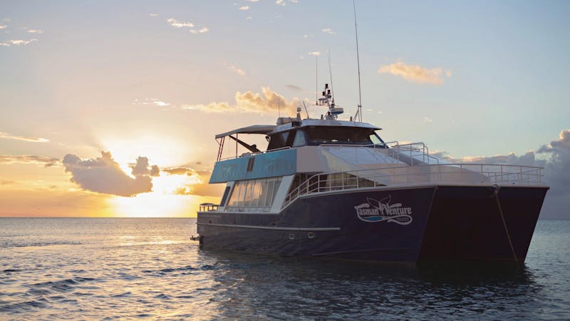 Island Escapes Private Charter – Tasman Venture