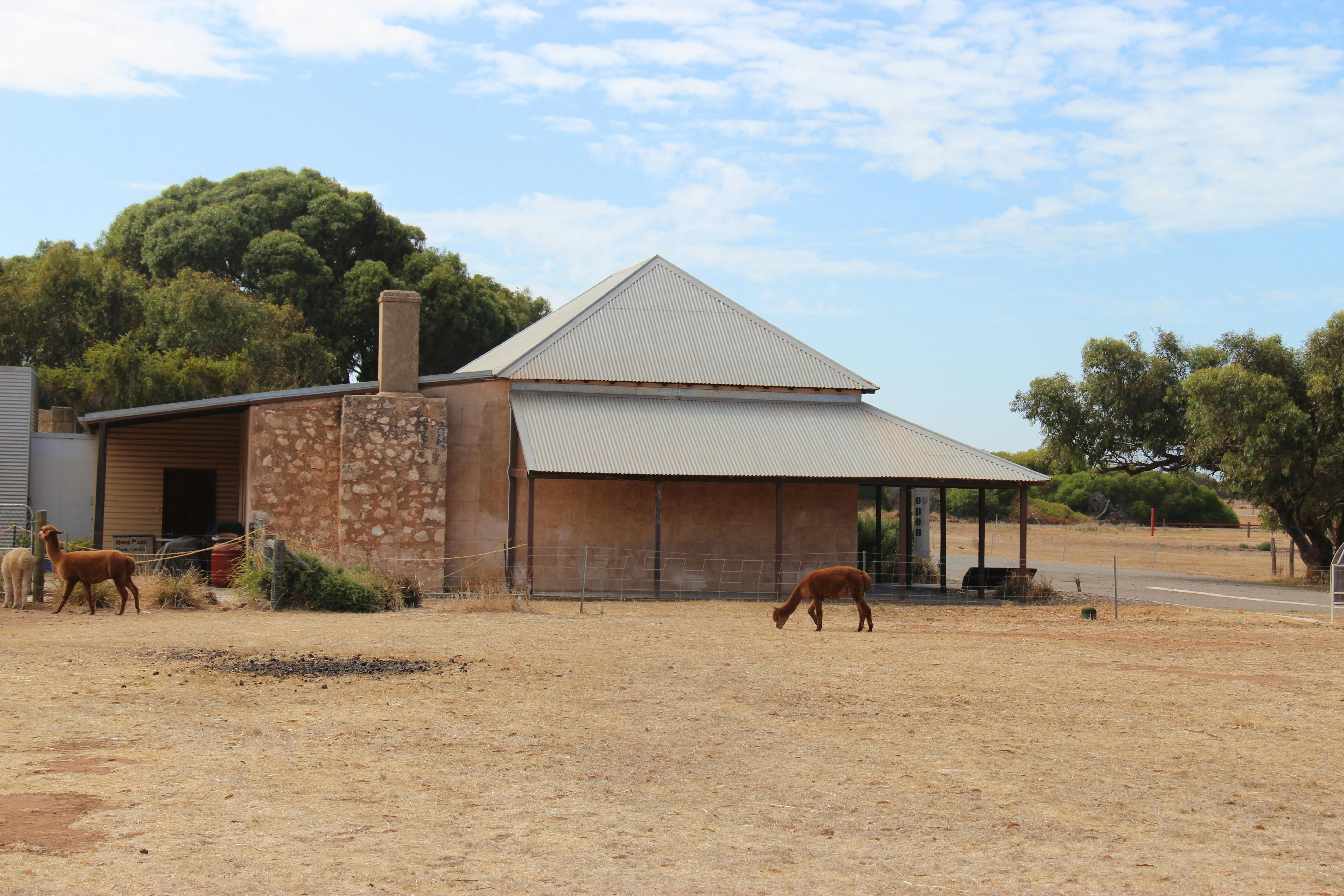 Central Greenough on Yamatji Country