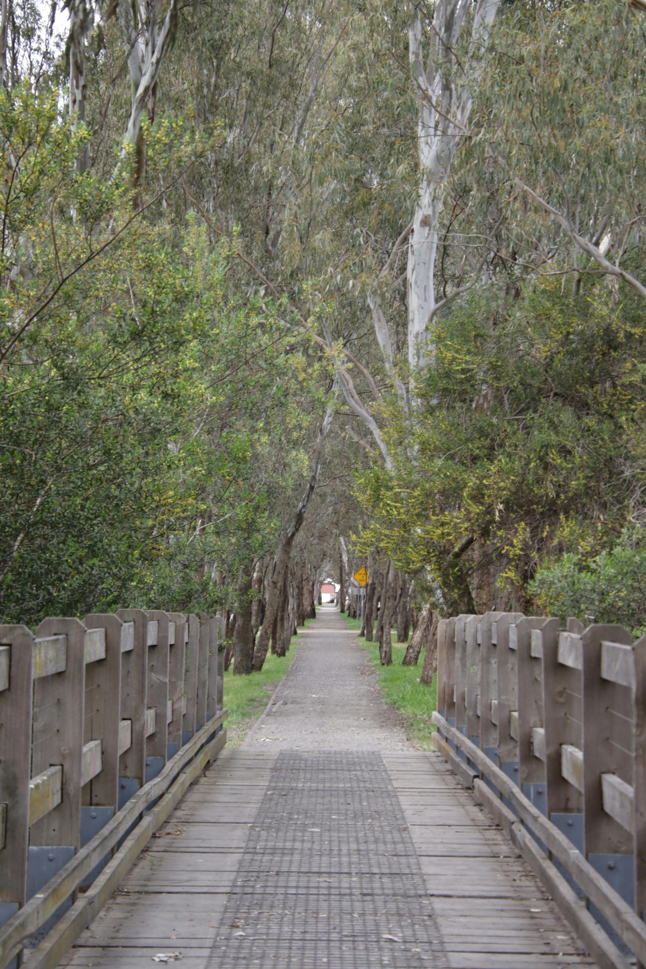A Small bridge on the way back to the visitor information center