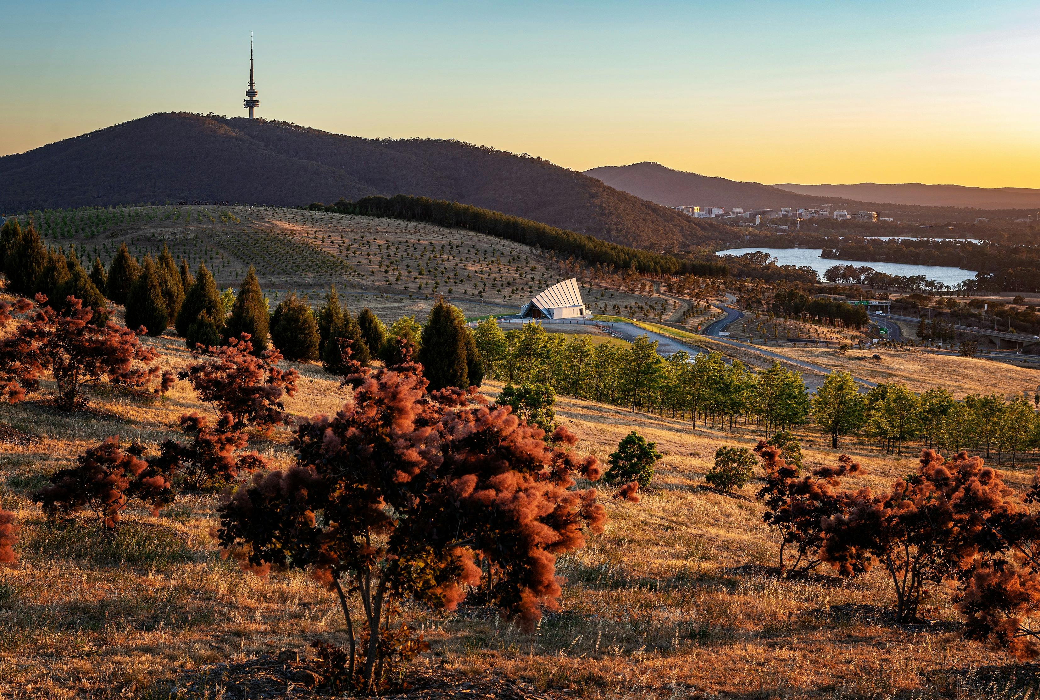 View across the forests with Black Mountain  in the background.