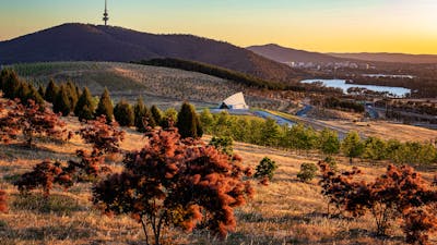 View across the forests with Black Mountain in the background.