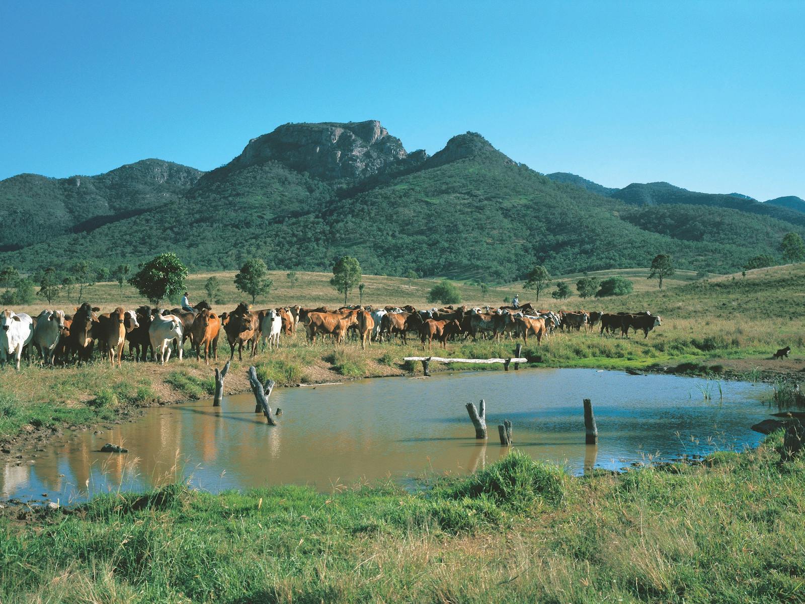 Bundaberg- Biggenden- Mount Perry Circle