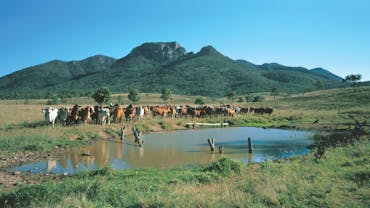 Biggenden