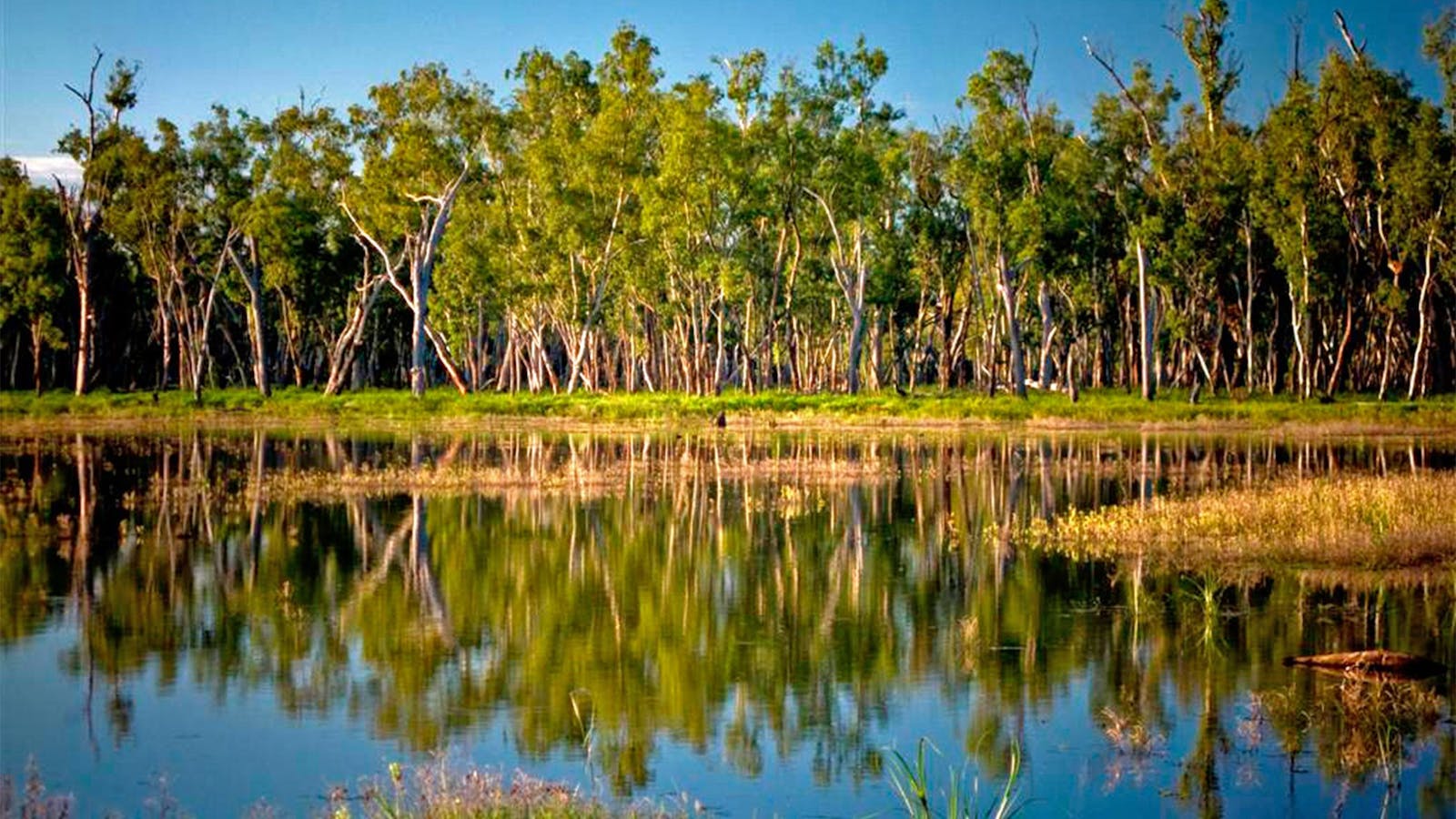 Lake Murphy Conservation Park