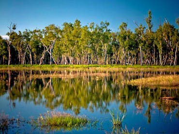 Reflection of trees on lake's surface.
