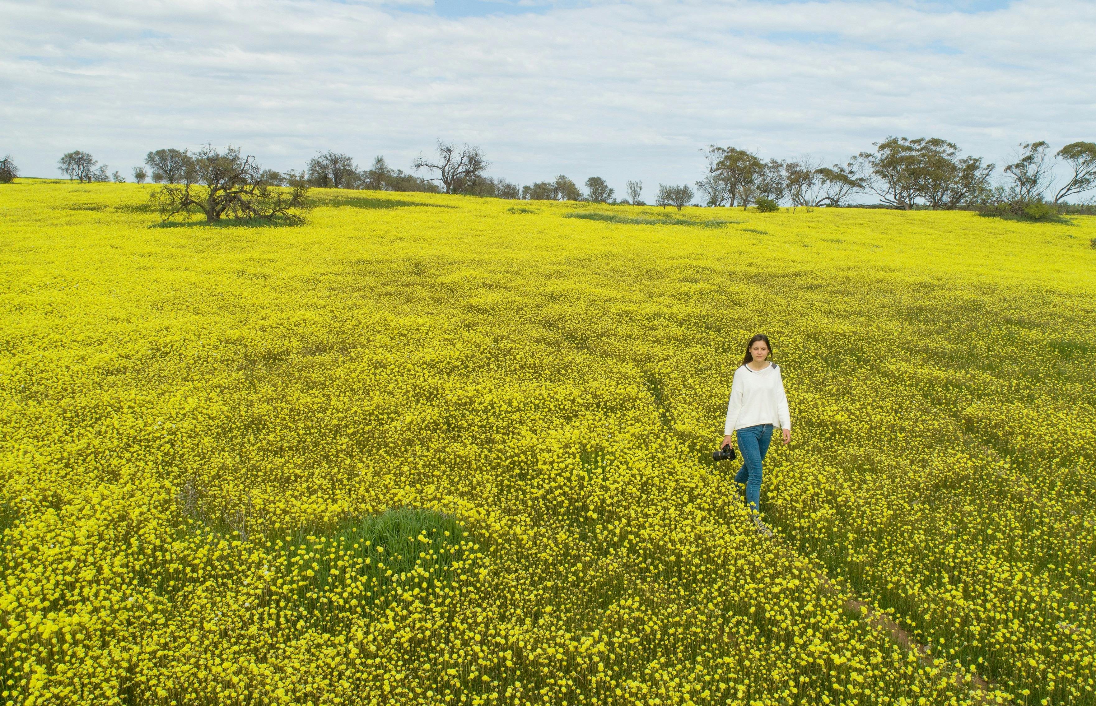 Coalseam Conservation Park