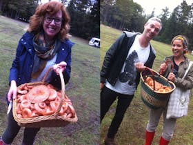 Three sets of happy foragers with basket full of mushrooms