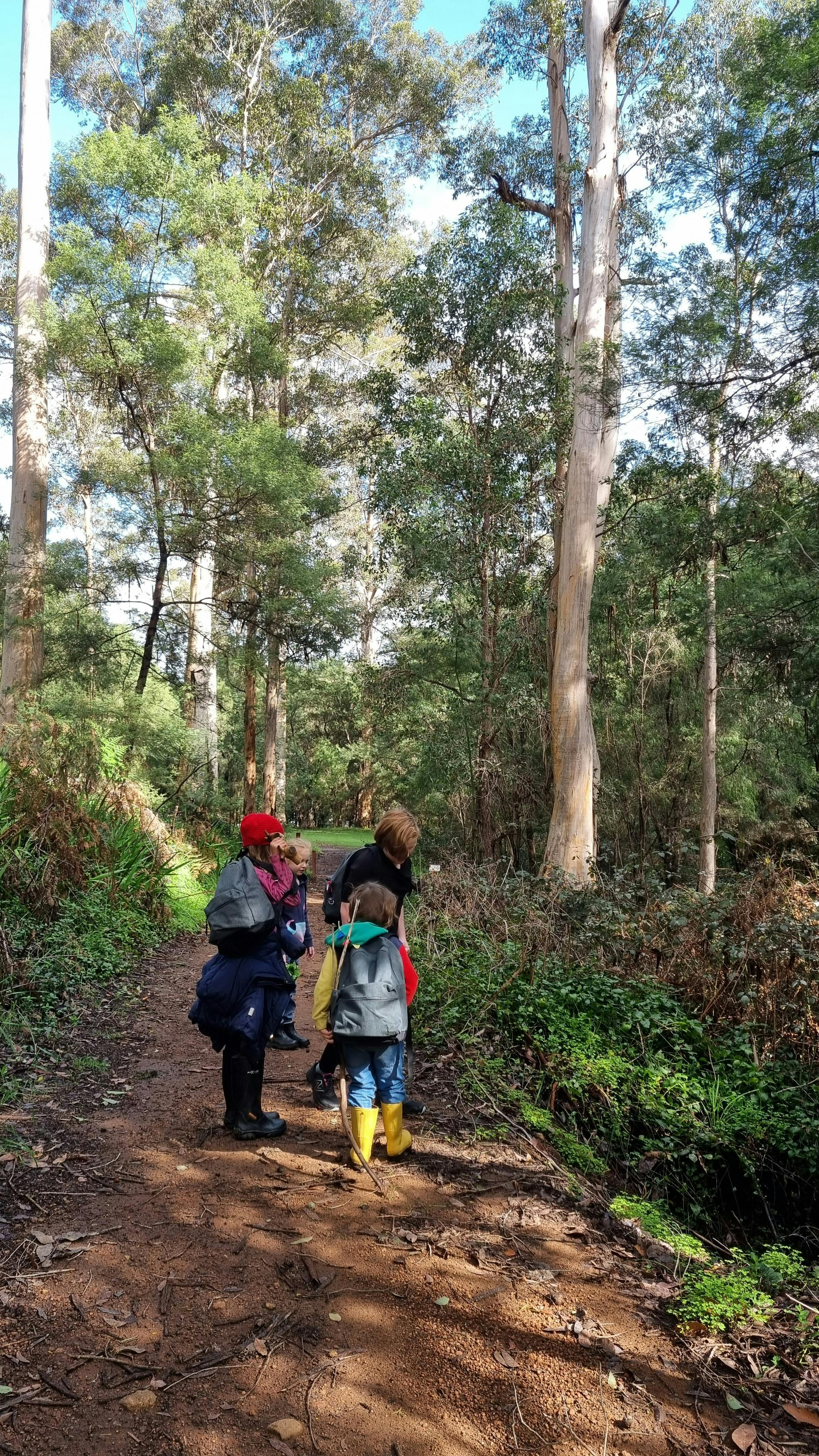 Forest School Drop and Go Pemberton