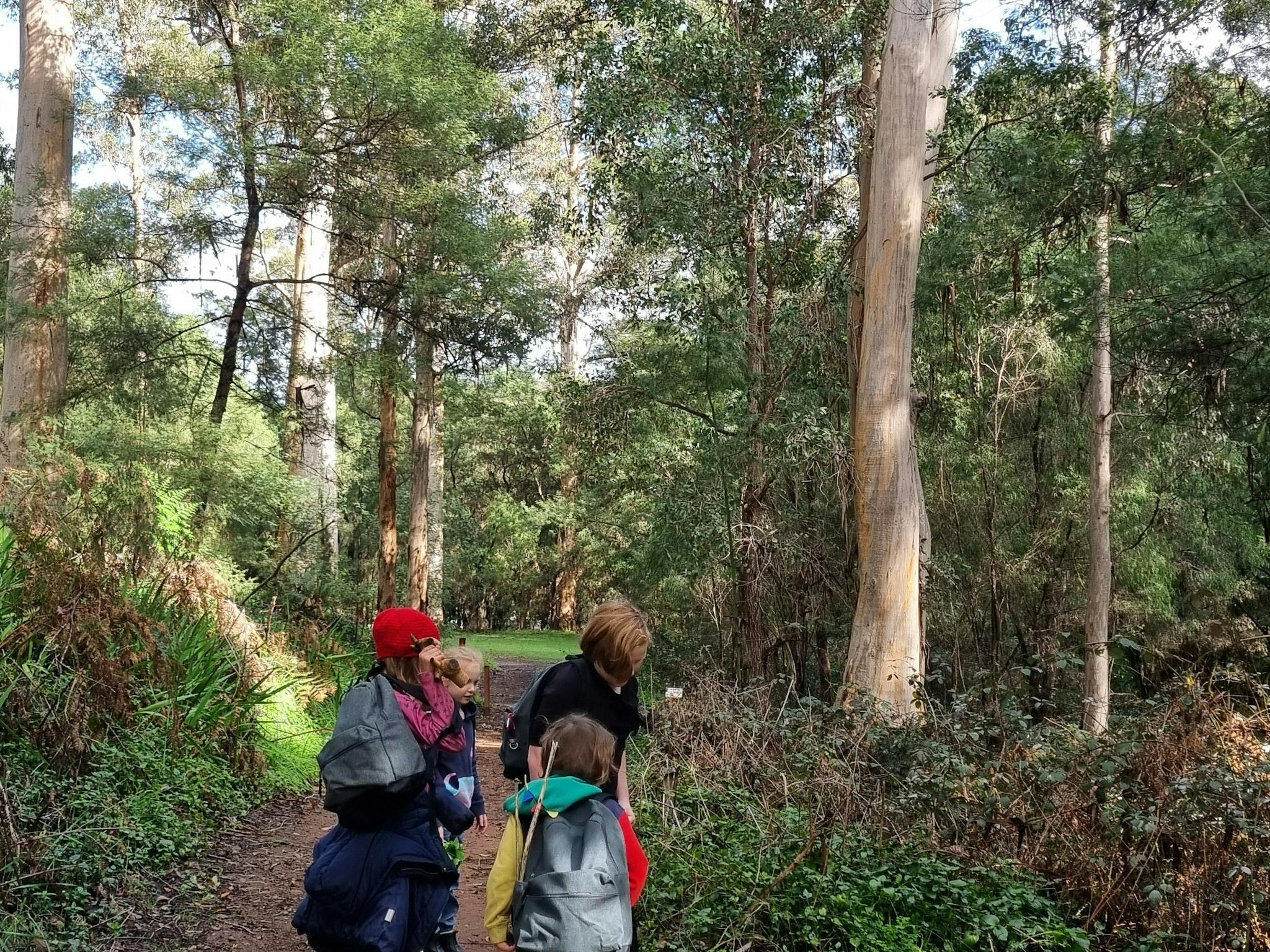 Forest School Drop and Go Pemberton