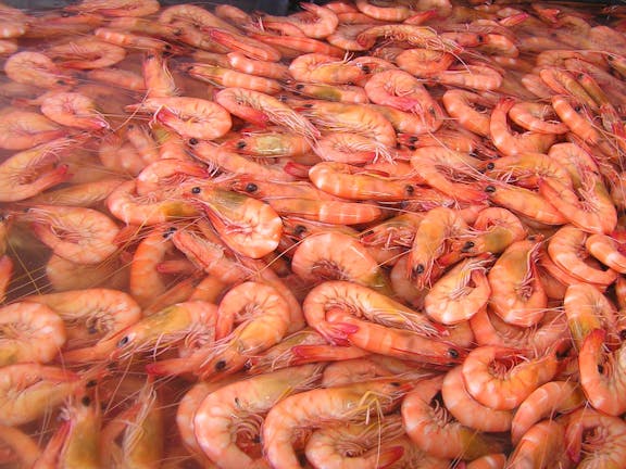 Grunske's By The River Seafood Market and Restaurant