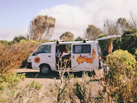Chubby Campervan