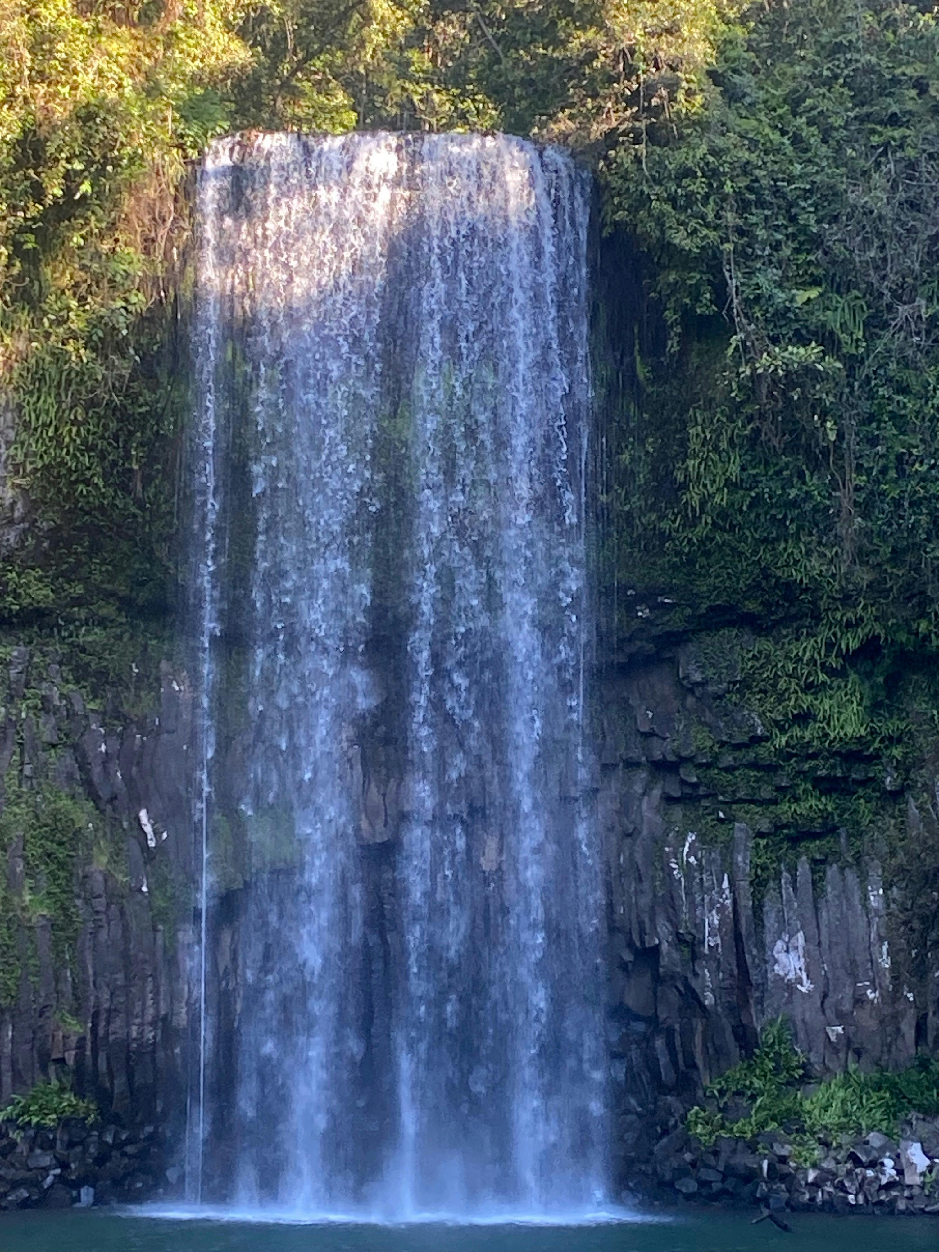 Listen to sound of water cascading over from the top . Bio-diversity of flora and fauna encapsulate