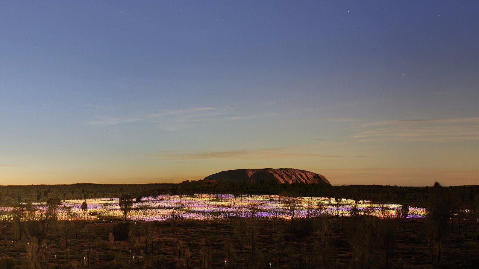Field of Light Tours