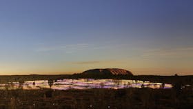 Field of Light Uluru