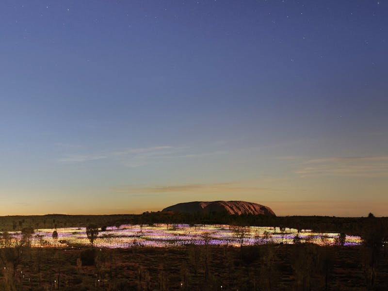 Field of Light Uluru