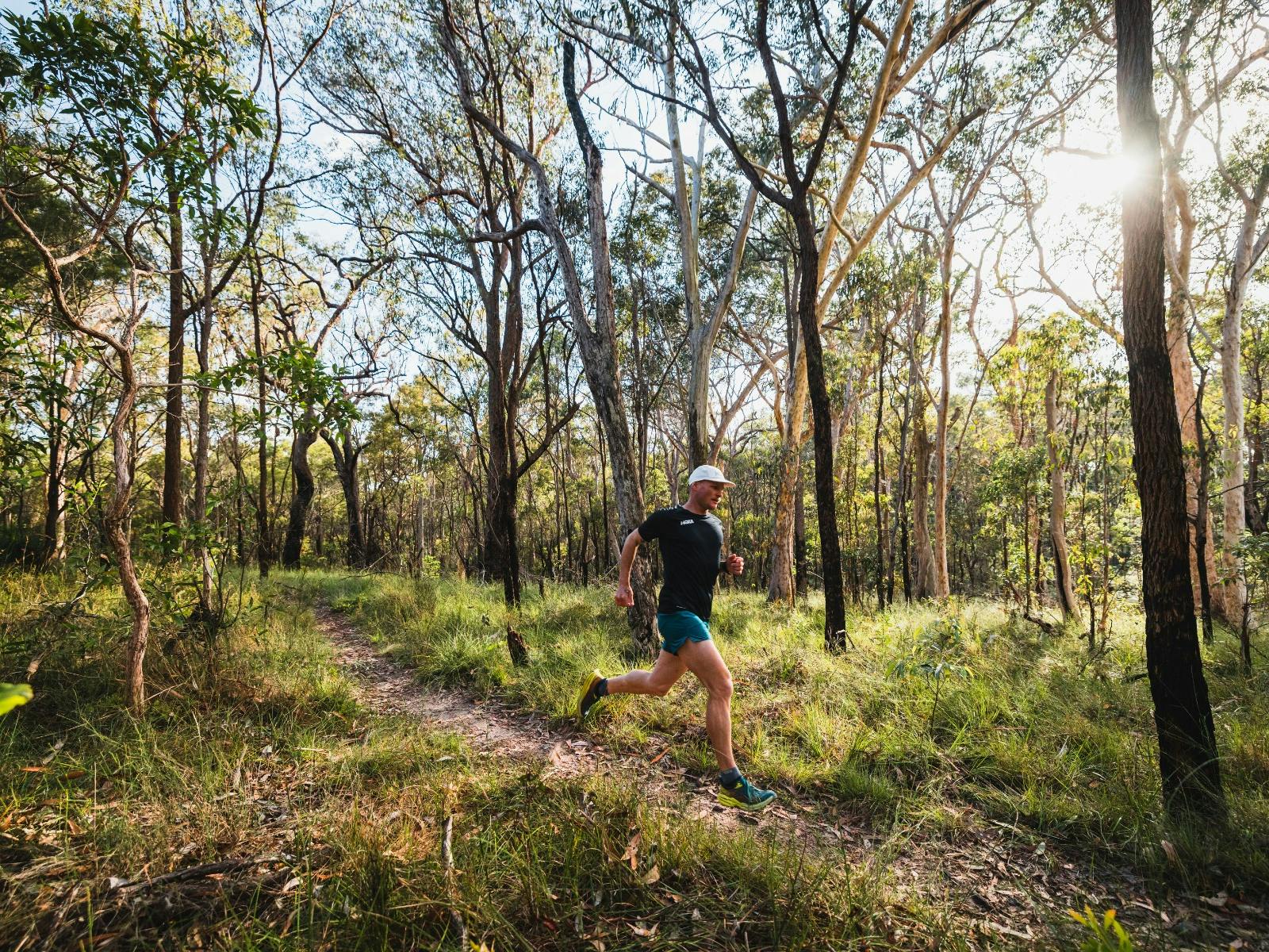 Man running along dirt trail at Bayview Conservation Area, Redlands Coast, Queensland Man running along dirt trail at Bayview Conservation Area, Redlands Coast, Queensland