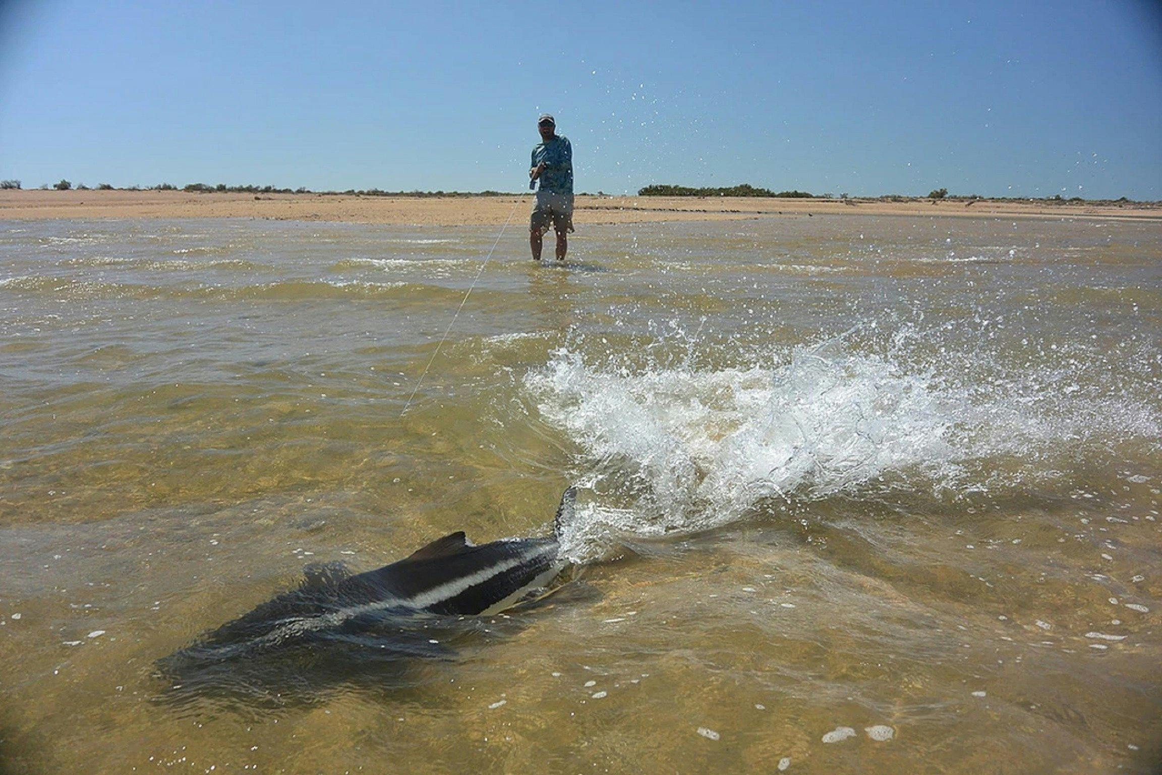 Ningaloo Fly Fishing, Exmouth, Western Australia