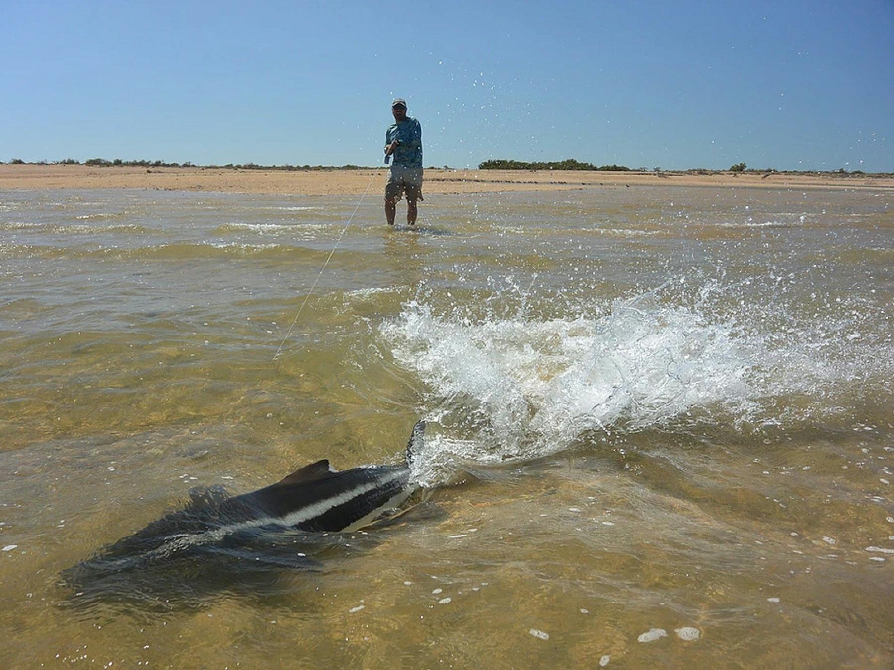 Ningaloo Fly Fishing, Exmouth, Western Australia