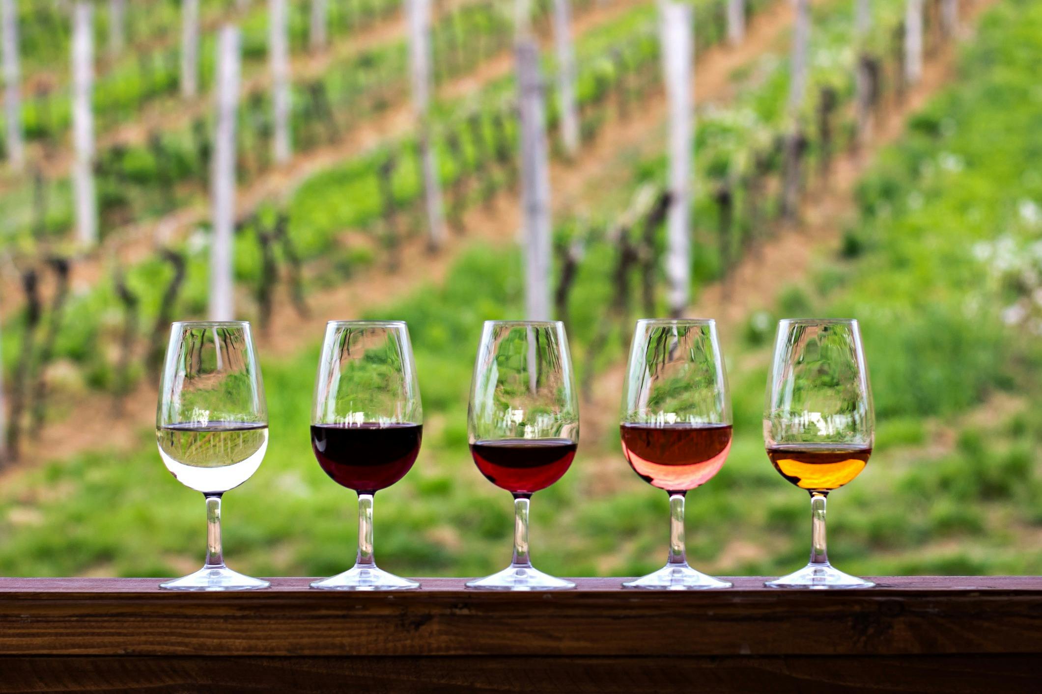 Private wine tour