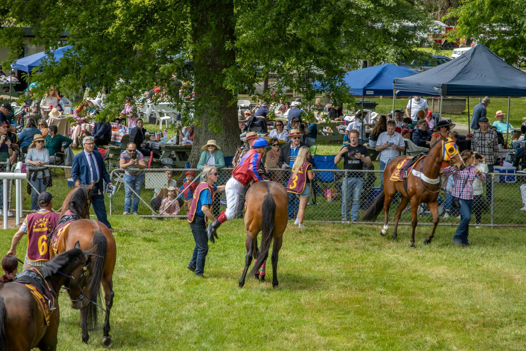 Healesville Picnic Races - Healesville Cup
