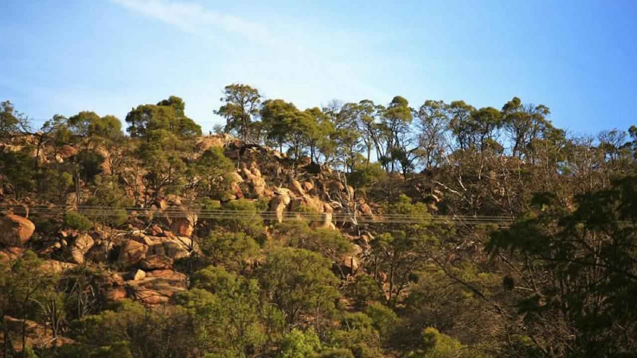 Chiltern Mt Pilot National park near Eldorado