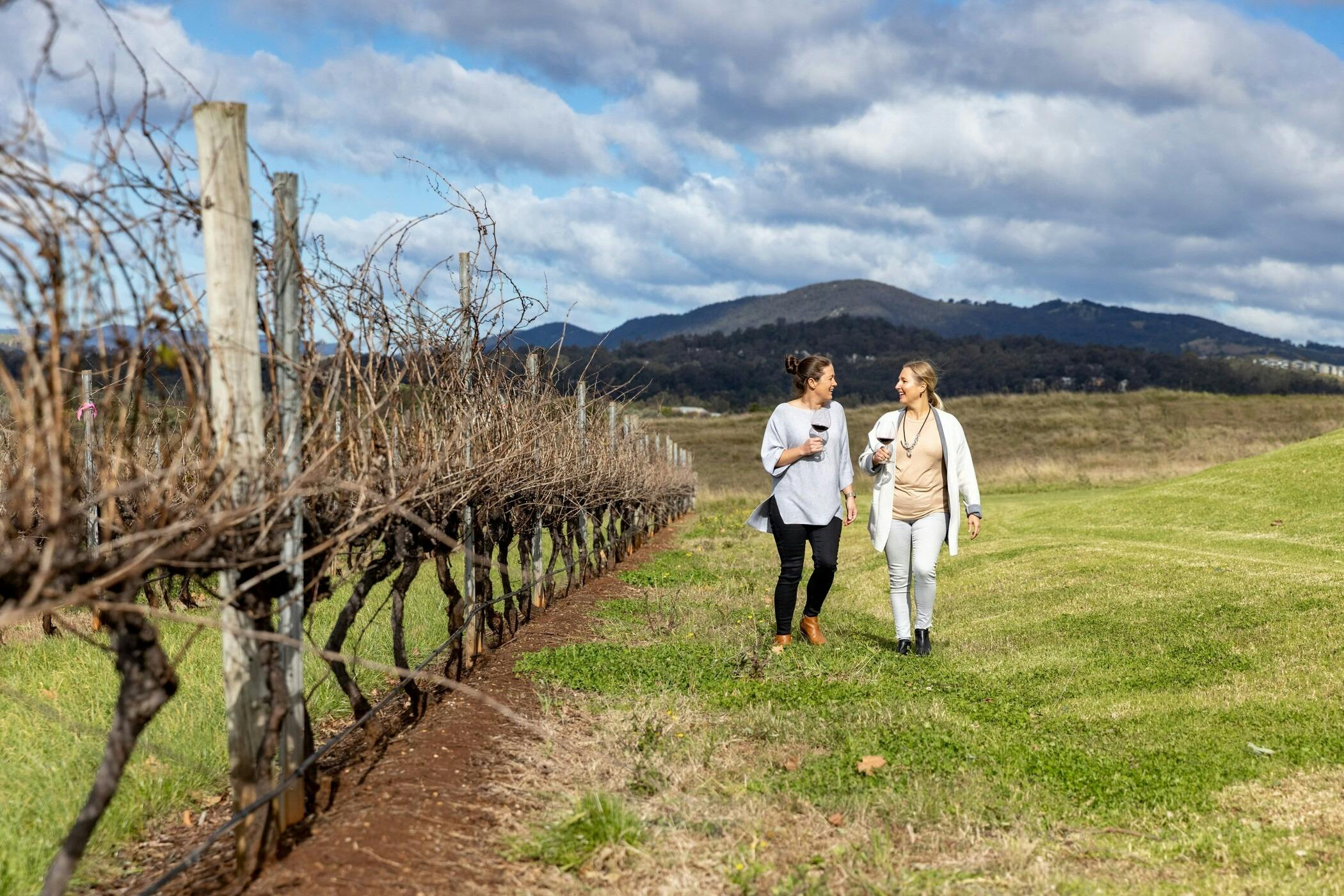 Hunter Valley - Winery Visit Pokolbin