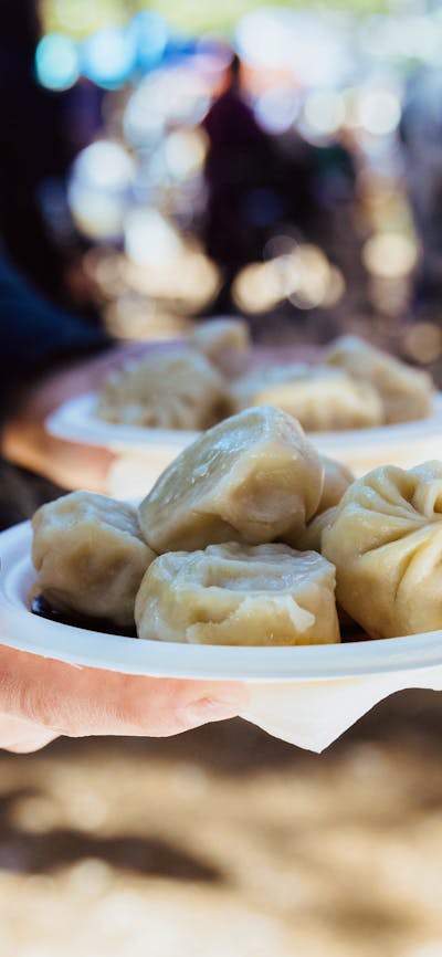 A plate of dumplings from Haig Park Village Markets!