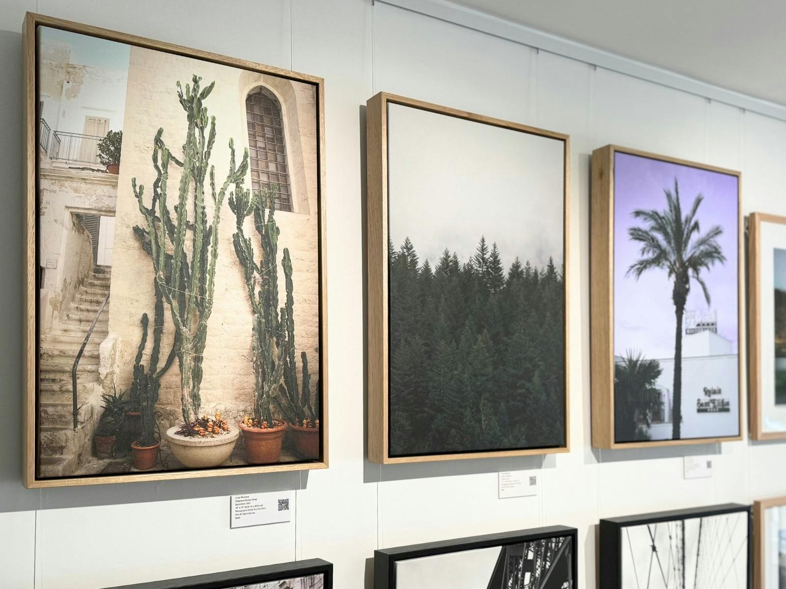 Framed canvas art prints displayed in Wanderlust Prints gallery