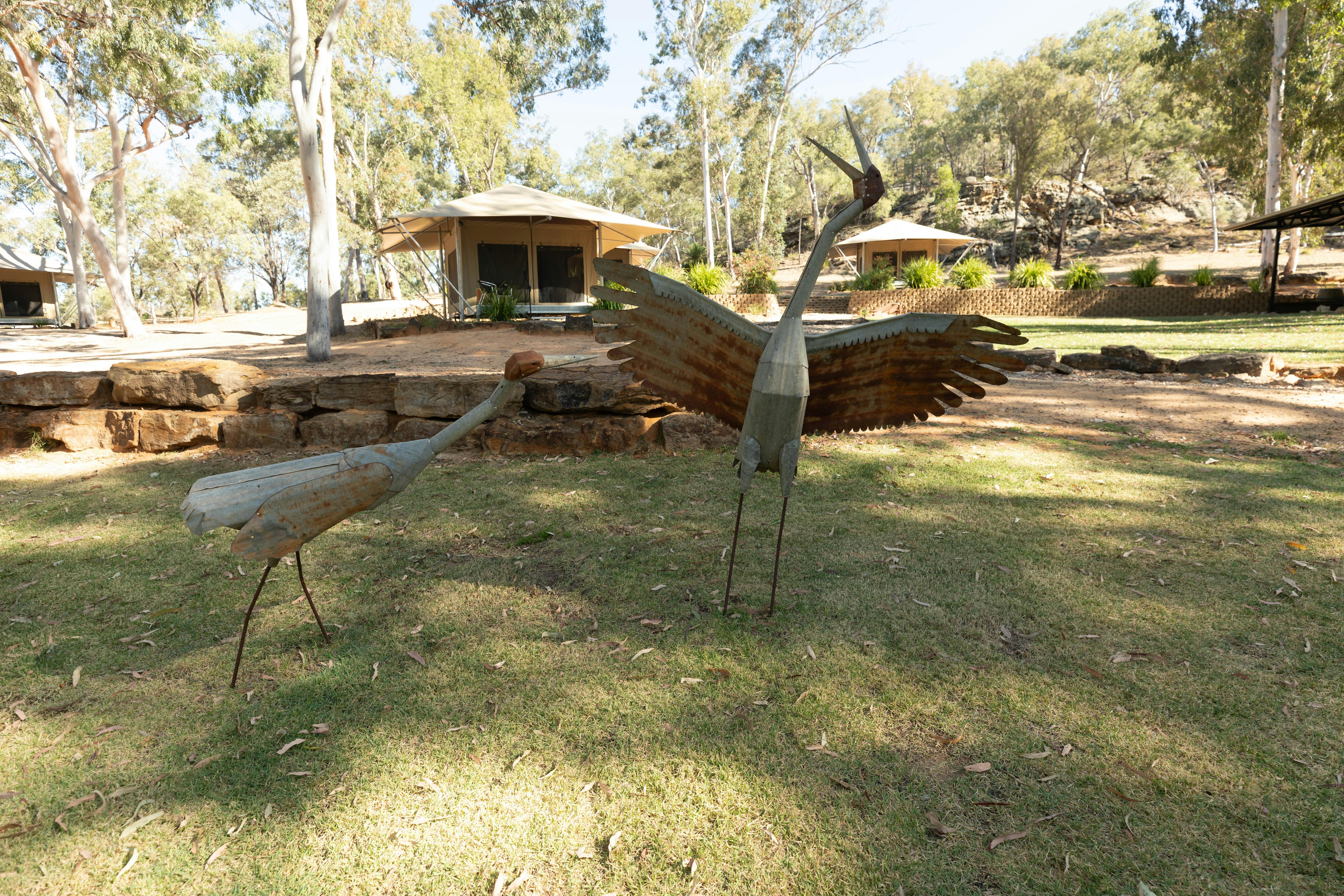 5 Star Glamping - Wallaroo Station