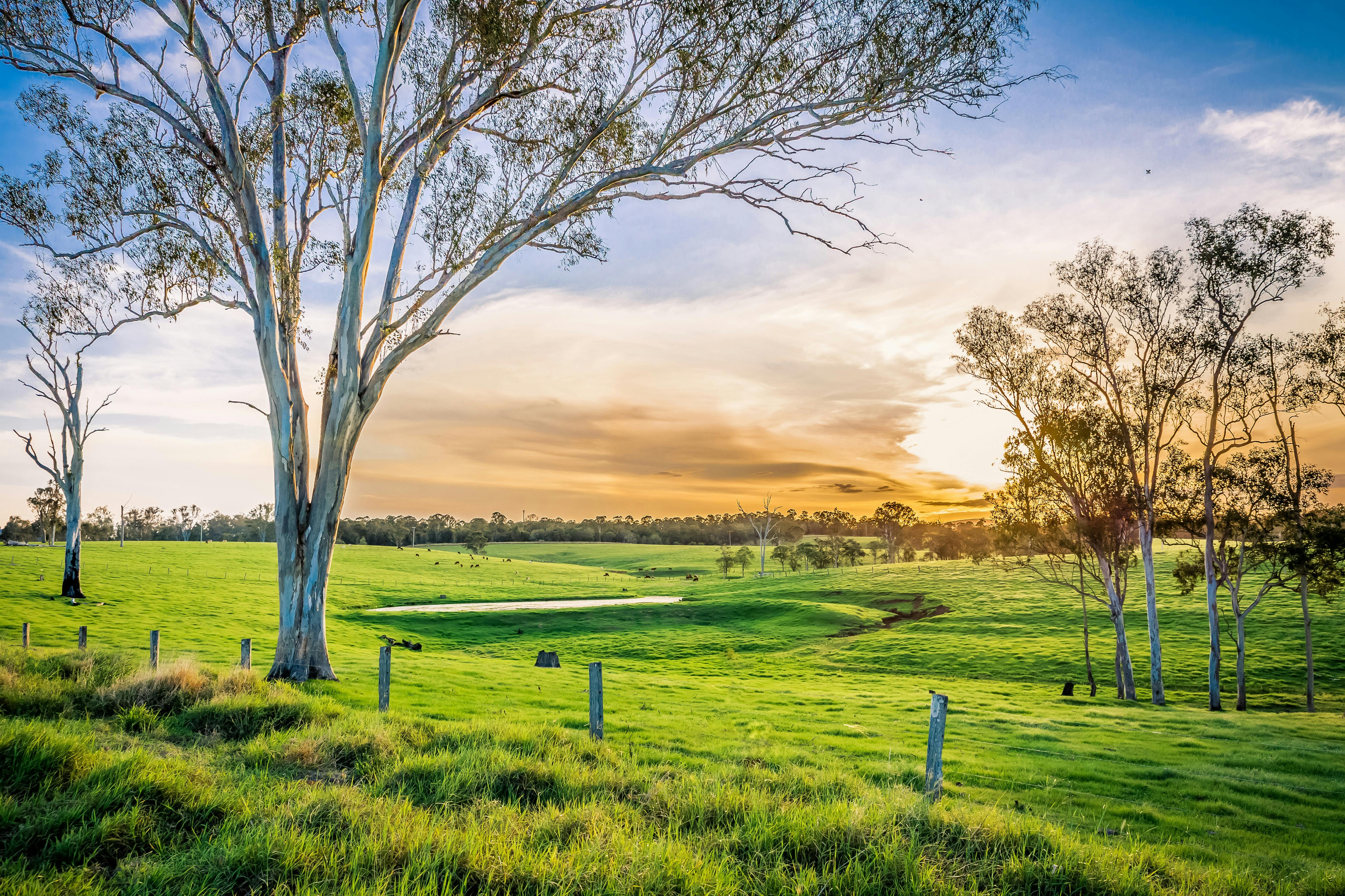 Mary Valley Scenic Drive