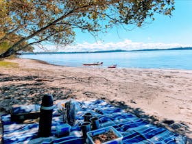 Morning tea picnic on a deserted river island.
