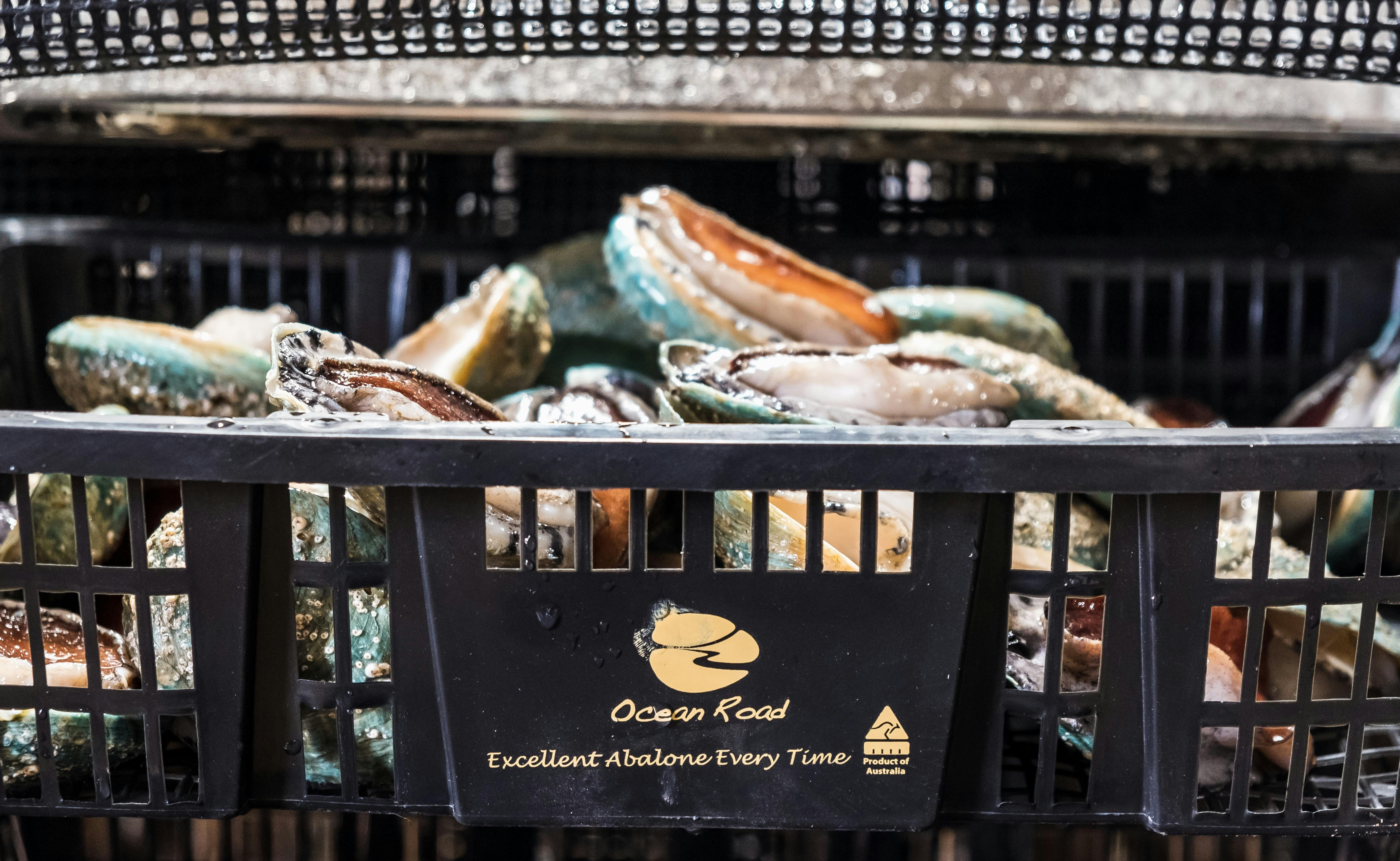 Live abalone