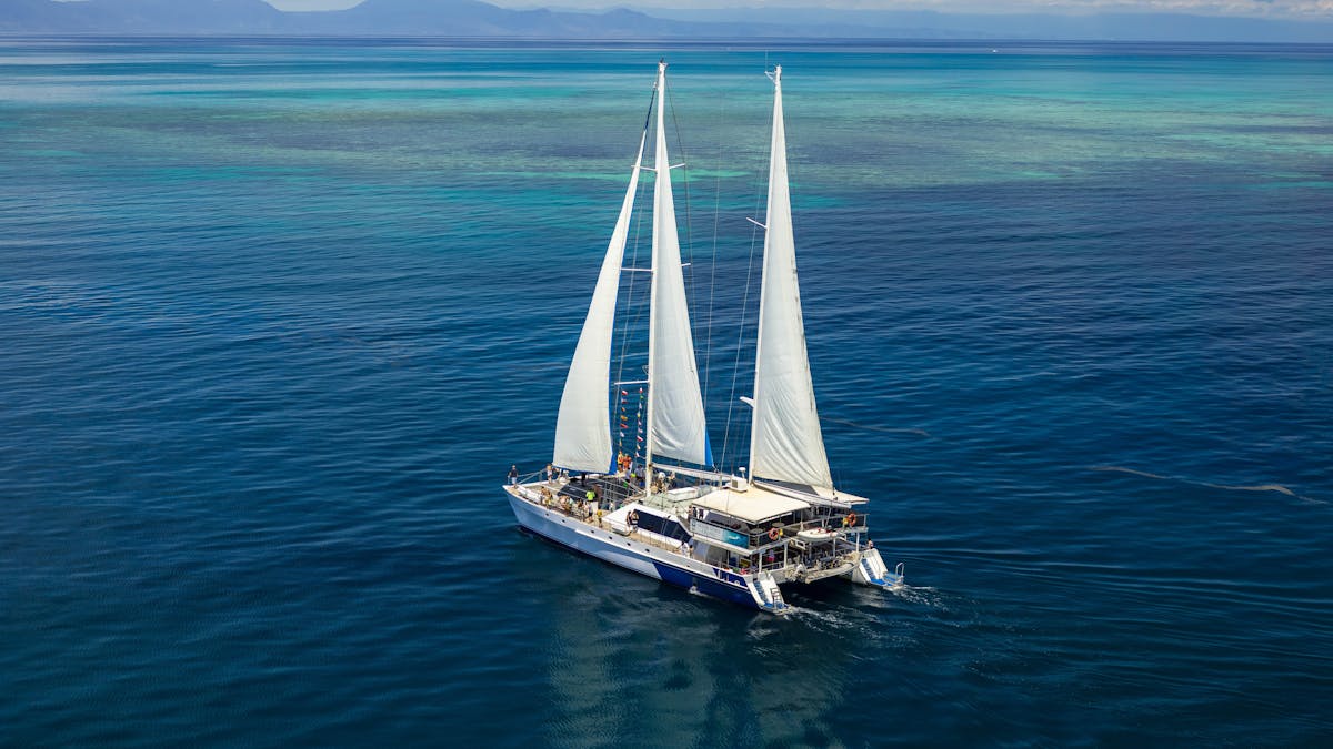 sailing catamaran