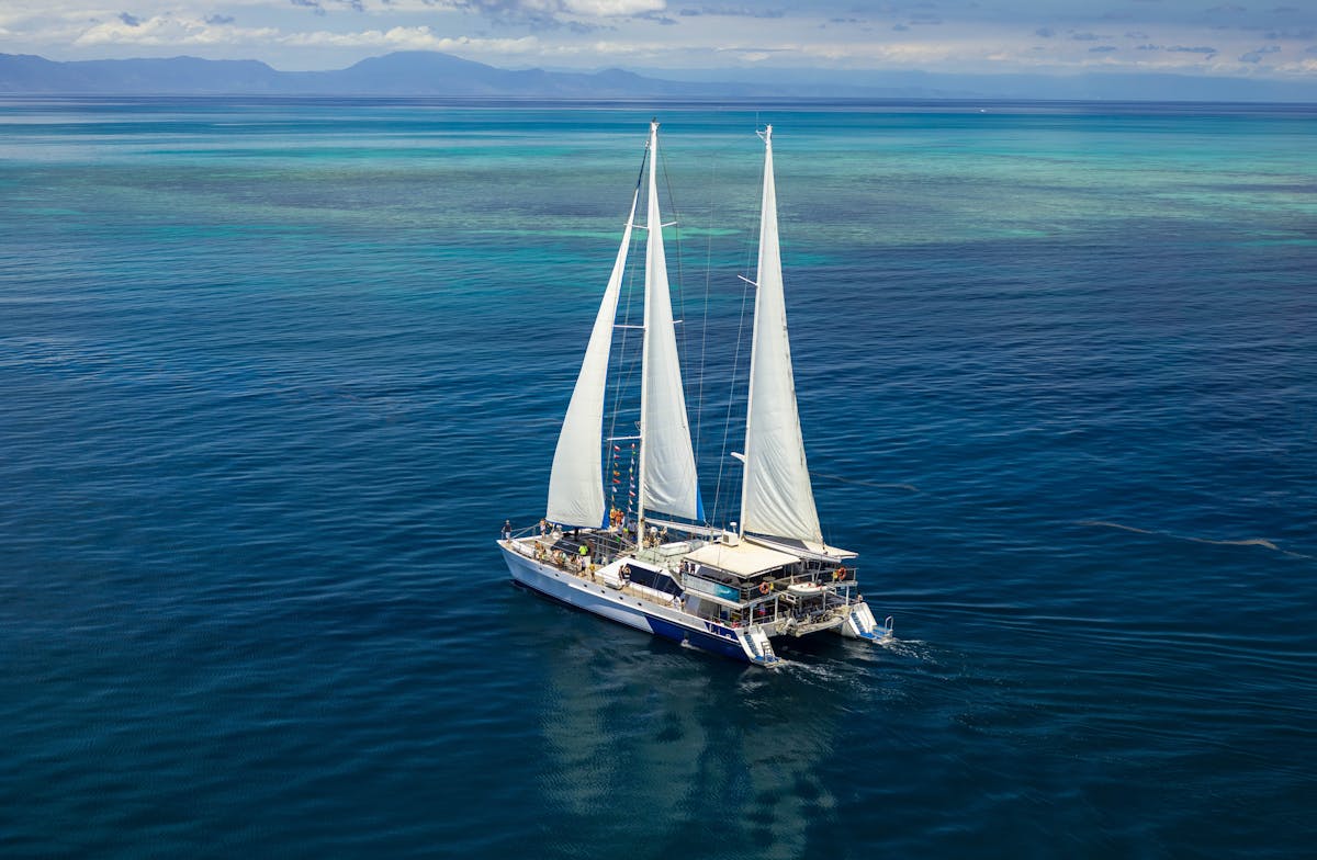 sailing catamaran