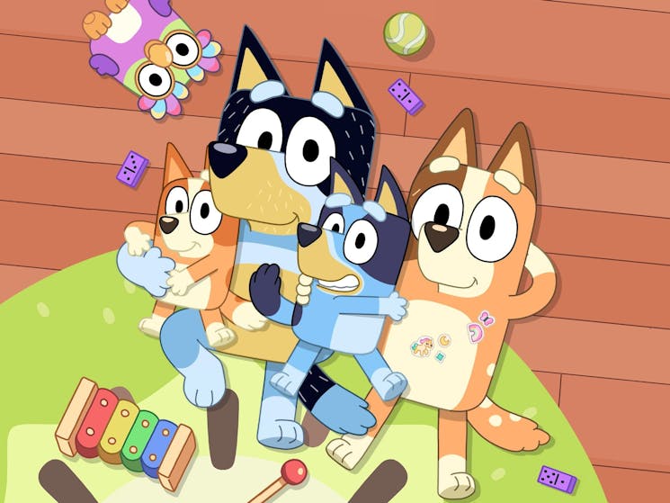 Bluey, Bingo, Bandit and Chilli laying on a Kiwi Fruit Rug