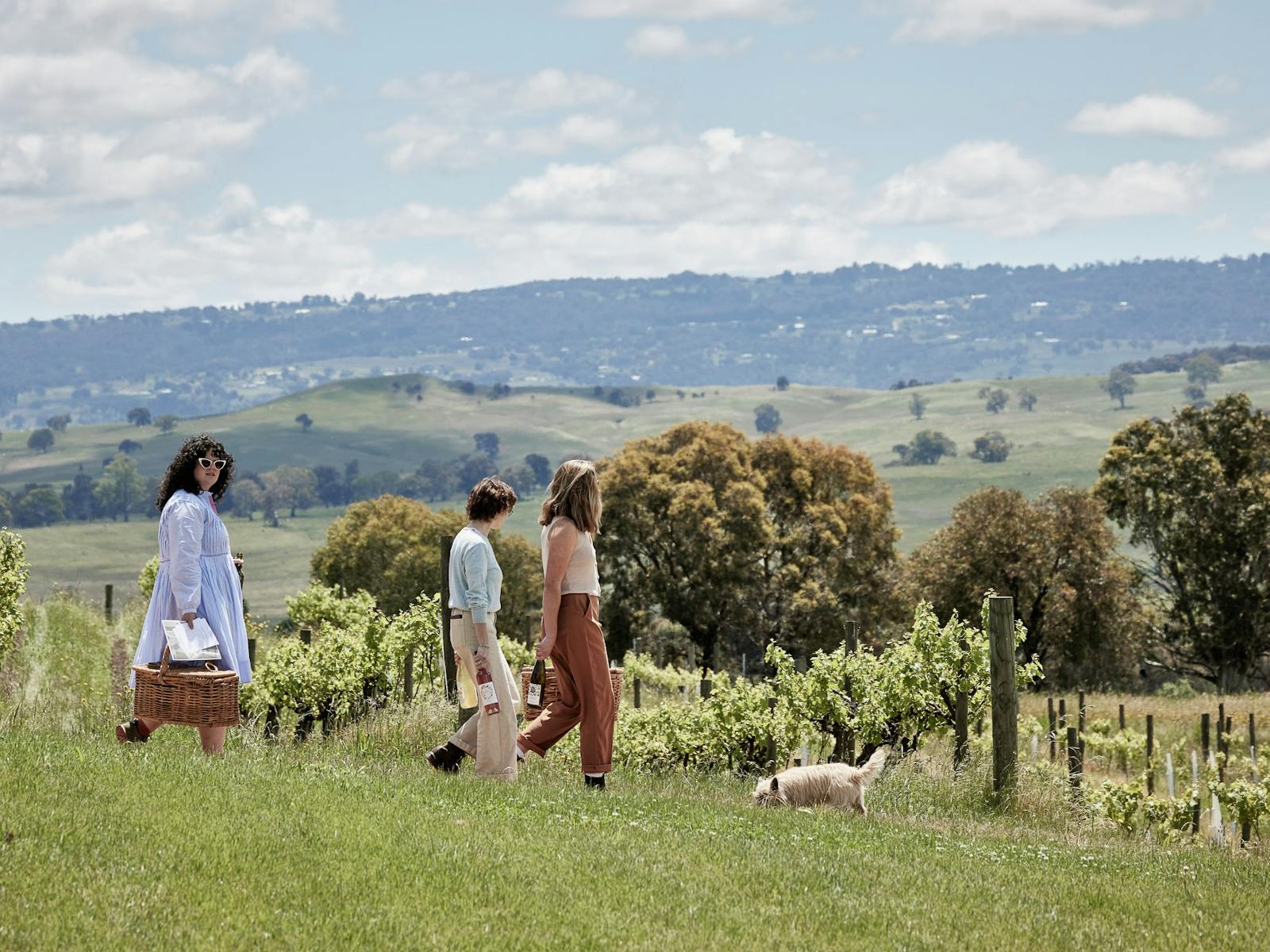 Three women walking in front of vines with a dog, carrying bottles of wine and a picnic basket