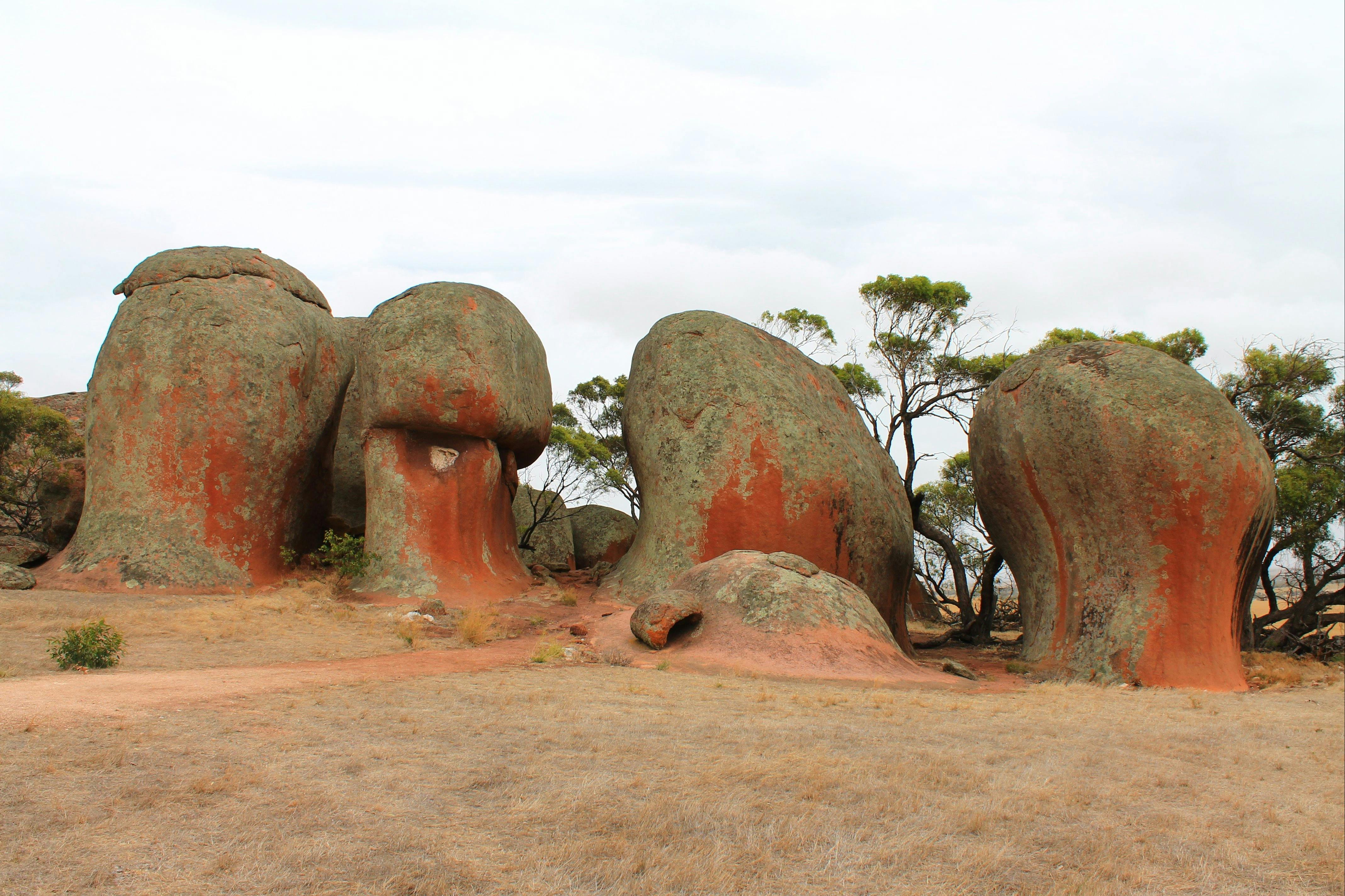 Eyre Peninsula tours