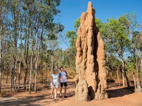 People standing next to a termite mound.