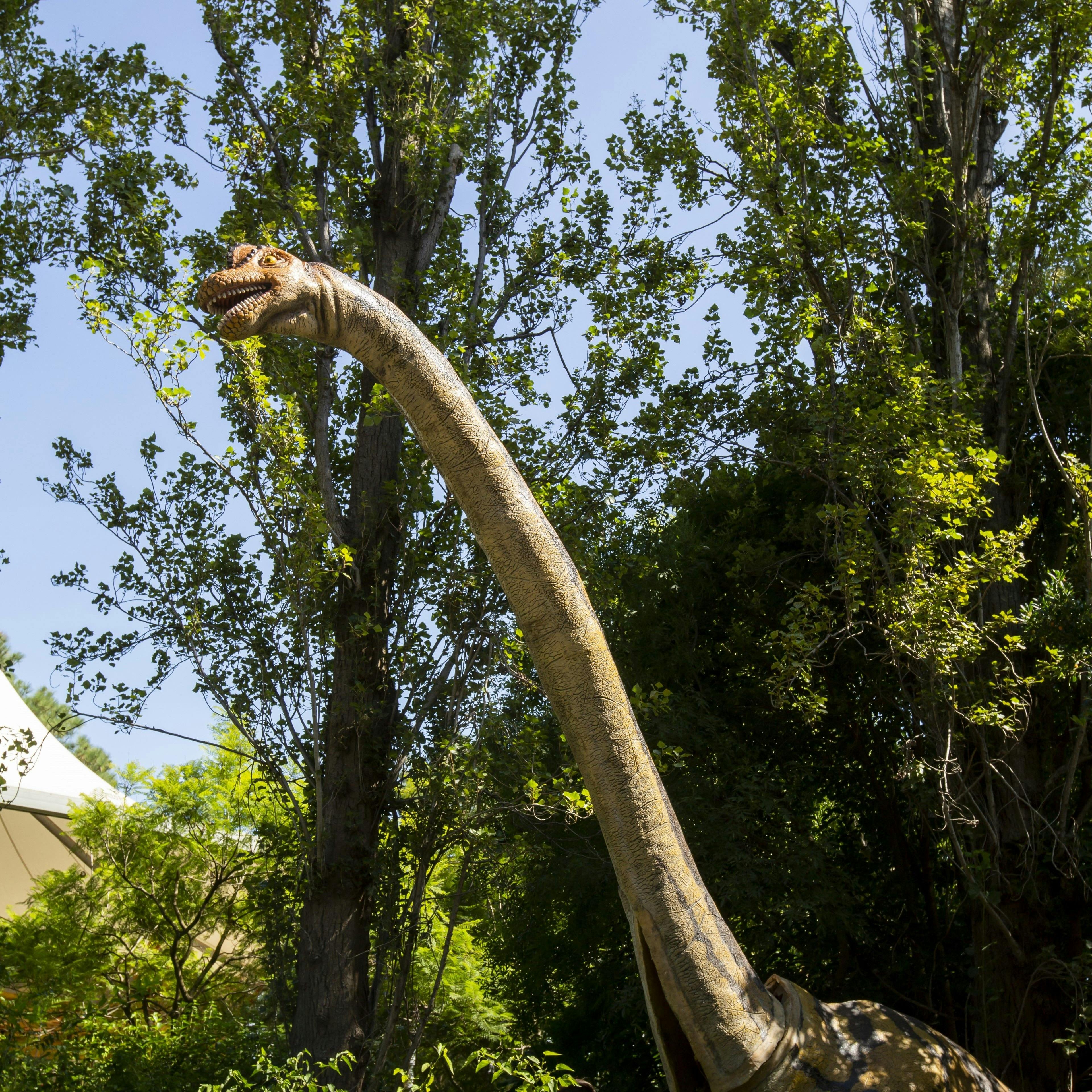 Dinos at the Zoo - Melbourne Zoo