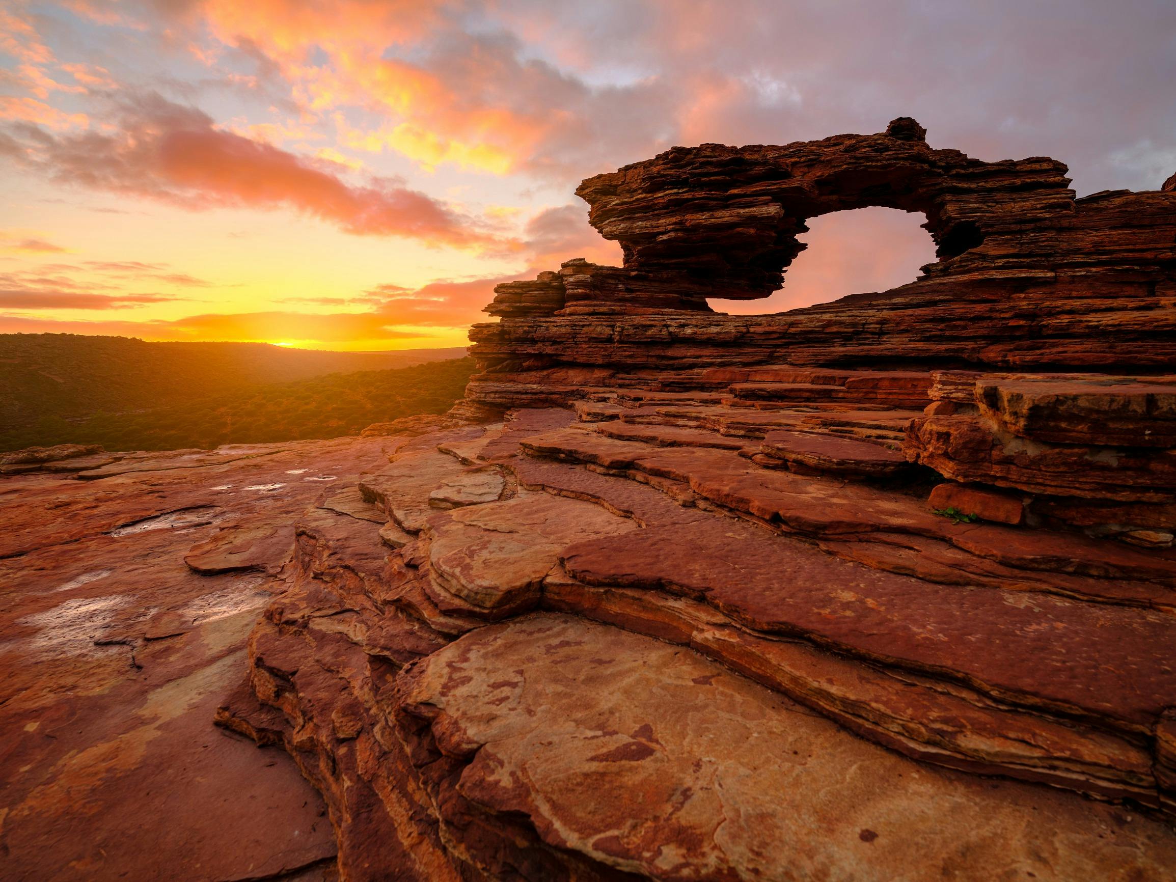 Nature's Window