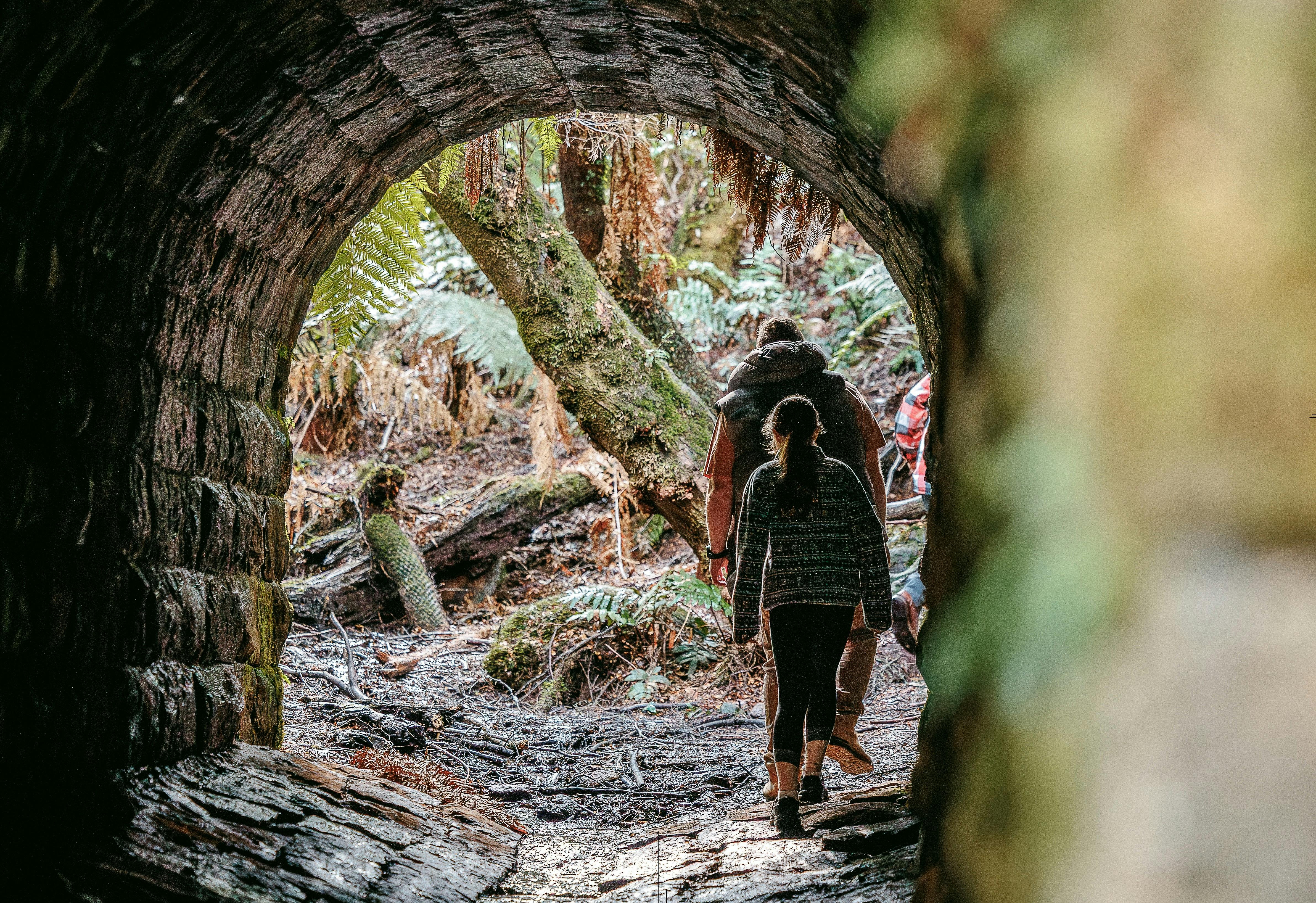 Cambarville Historic area